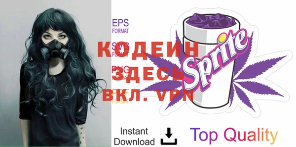 apvp Няндома