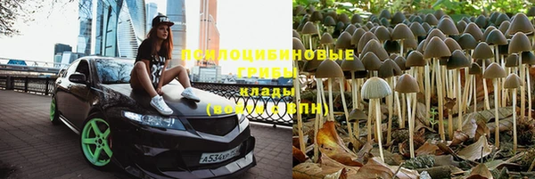 бошки Новозыбков