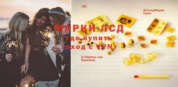 apvp Няндома