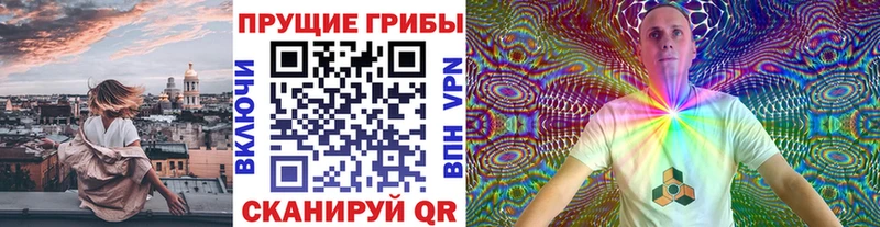 Галлюциногенные грибы GOLDEN TEACHER  Купить  Спас-Клепики 